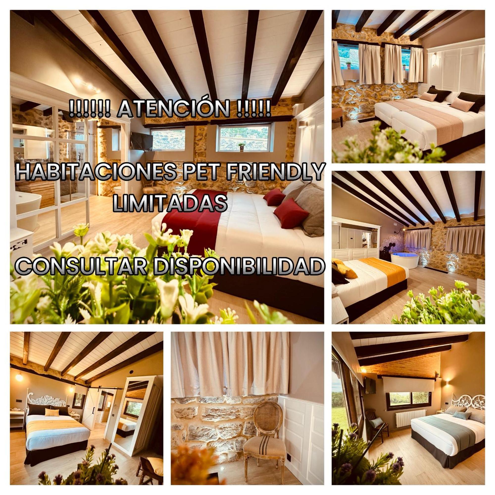 La Quinta Luxury Palace 阿内罗 外观 照片